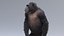 3D Chimpanzee RIGGED model