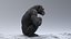 3D Chimpanzee RIGGED model