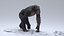 3D Chimpanzee RIGGED model