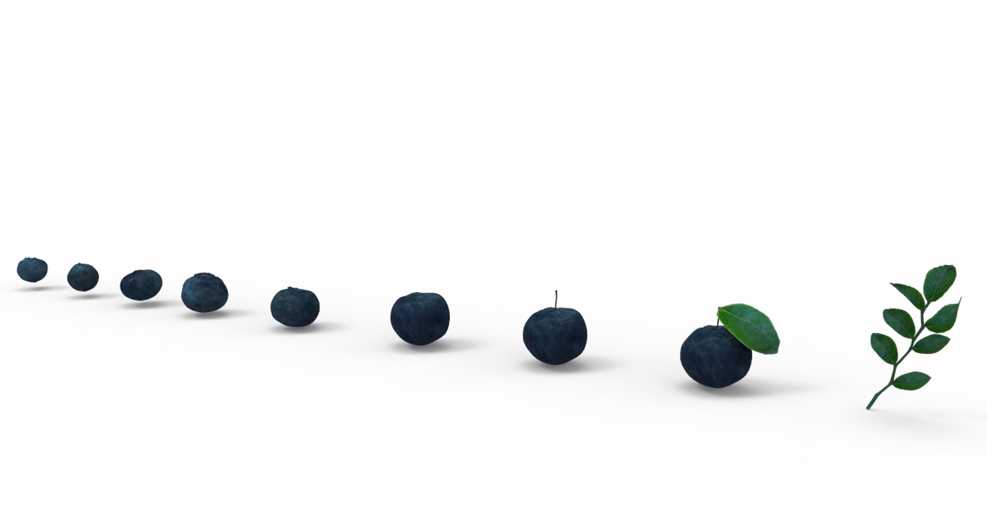 Blueberry Berry 3D Model - TurboSquid 1532362