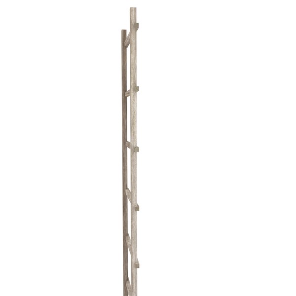 3d ladder model