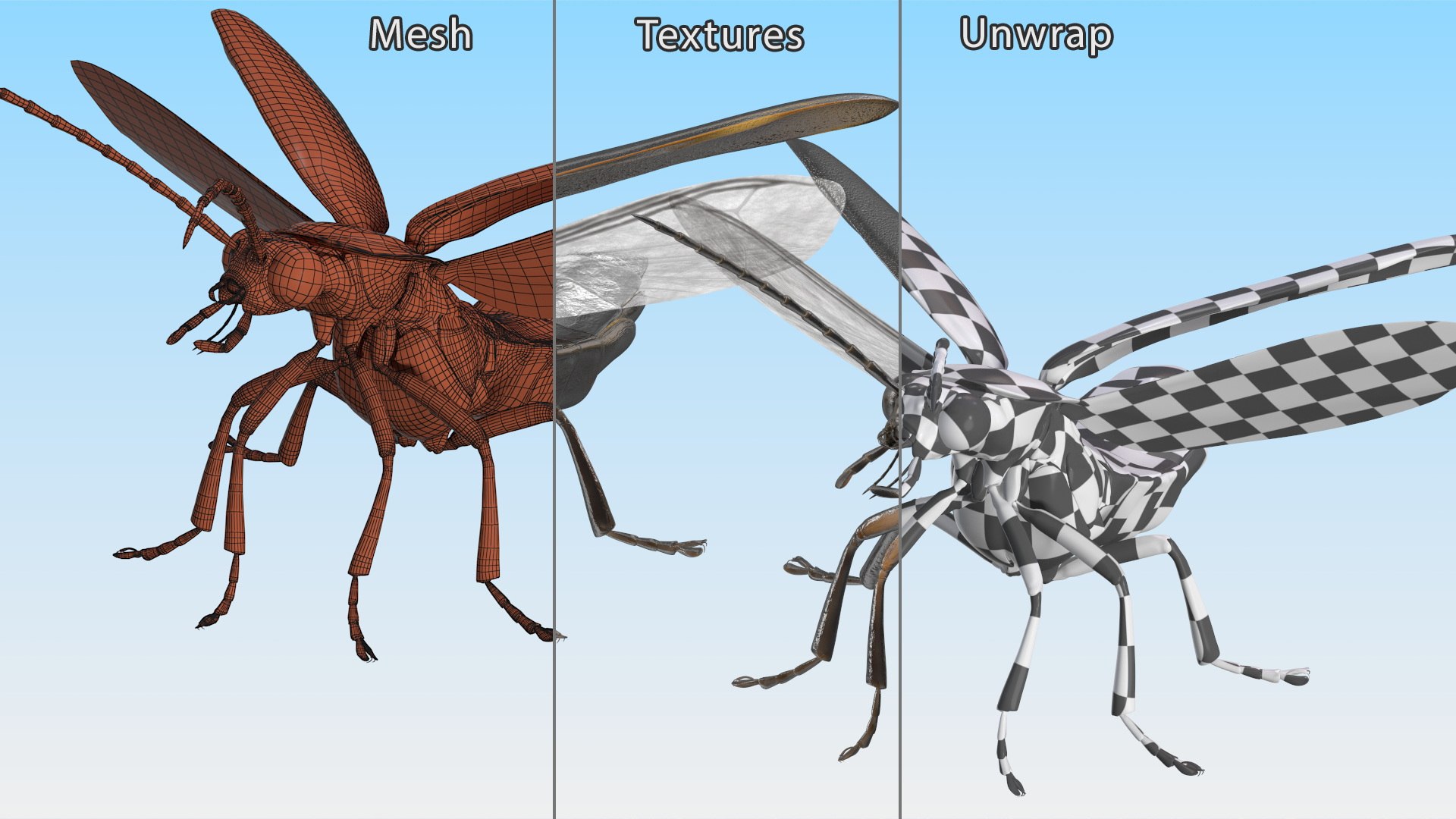 3D Photinus Pyralis Standing Pose https://p.turbosquid.com/ts-thumb/UH/Z8RVit/1D/photinuspyralisstandingpose3dsmodel018/jpg/1703833923/1920x1080/fit_q87/7a8532848193f07483898d55fefa8180fa67b32e/photinuspyralisstandingpose3dsmodel018.jpg