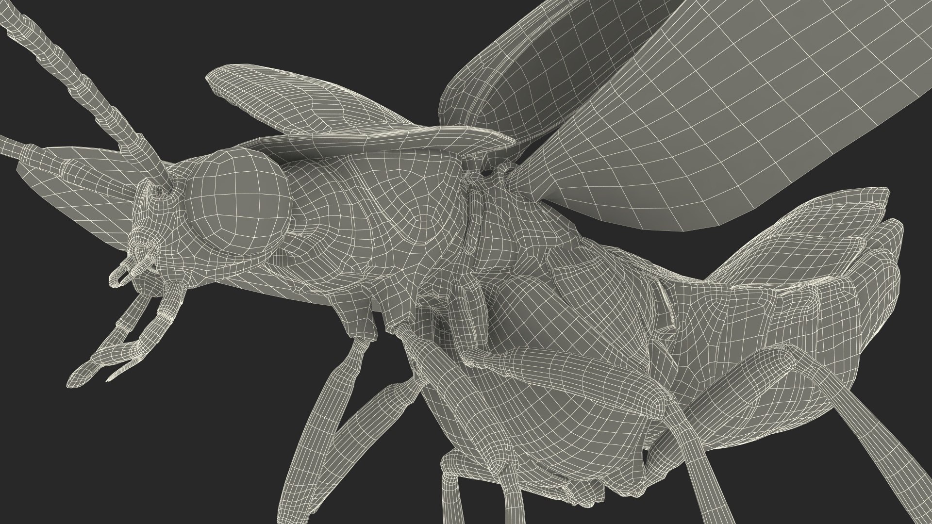 3D Photinus Pyralis Standing Pose https://p.turbosquid.com/ts-thumb/UH/Z8RVit/Fm/photinuspyralisstandingpose3dsmodel032/jpg/1703833979/1920x1080/fit_q87/a3702a05adcefbf82e95ebedd9ba543d739bc3a0/photinuspyralisstandingpose3dsmodel032.jpg