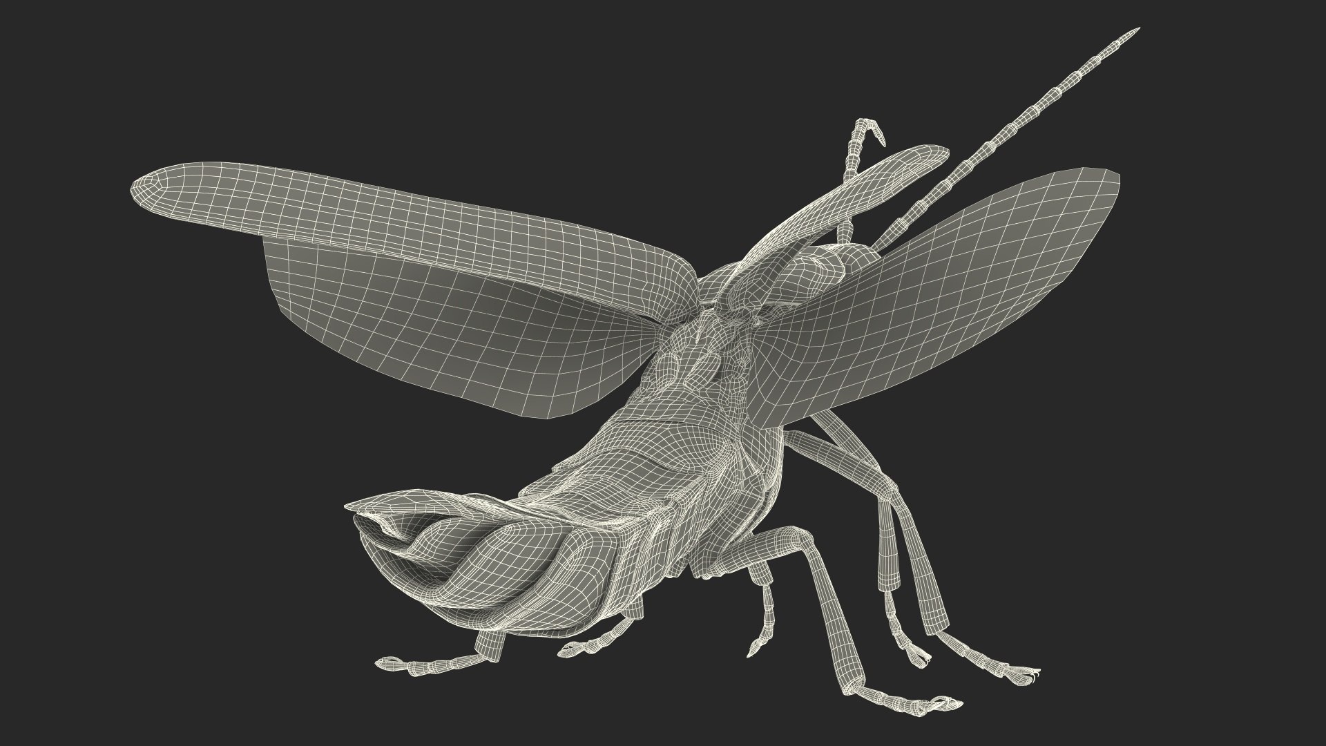3D Photinus Pyralis Standing Pose https://p.turbosquid.com/ts-thumb/UH/Z8RVit/H1/photinuspyralisstandingpose3dsmodel029/jpg/1703833967/1920x1080/fit_q87/f27432972ed8319c69e713bf89879e96826397e9/photinuspyralisstandingpose3dsmodel029.jpg