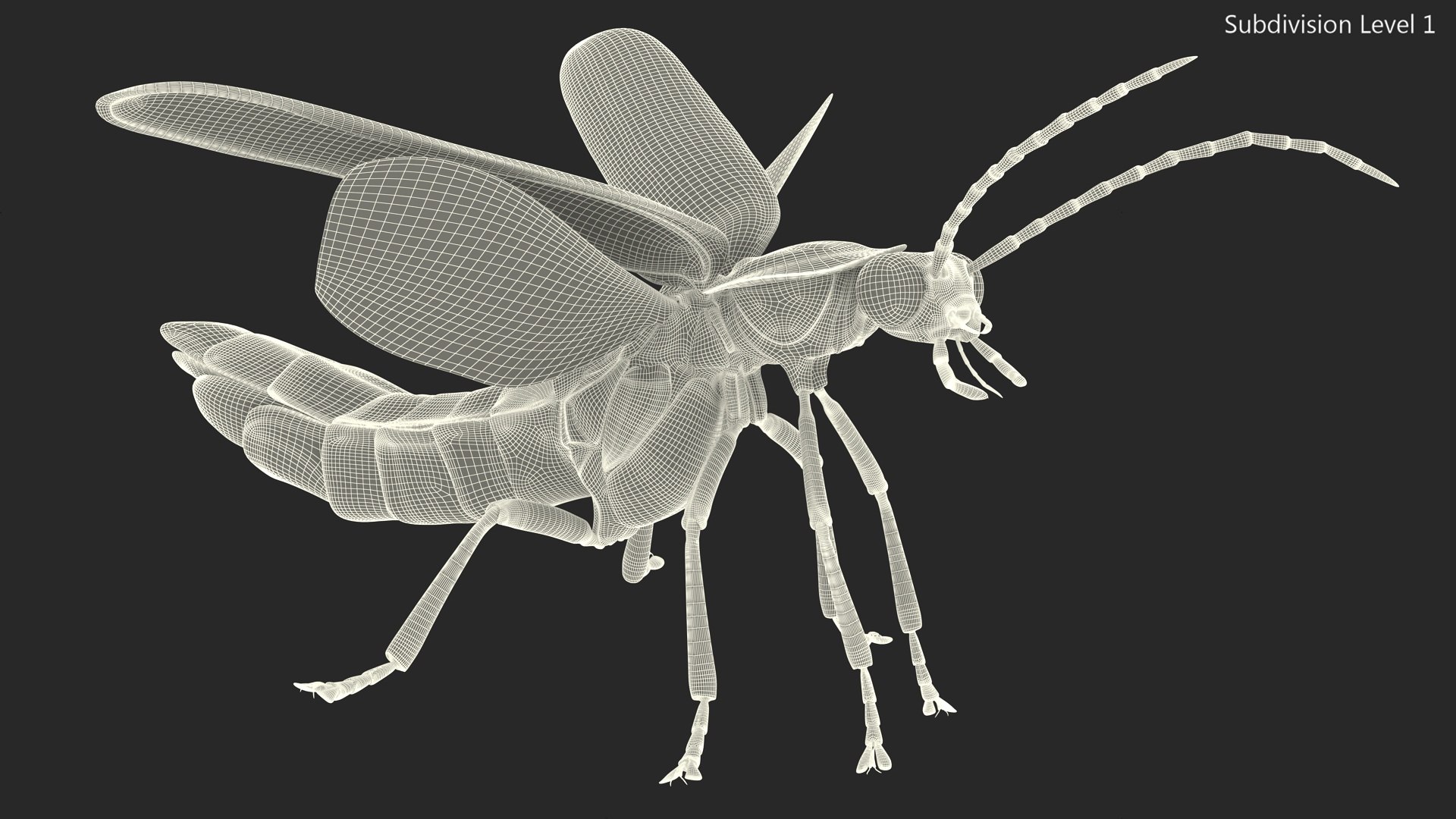 3D Photinus Pyralis Standing Pose https://p.turbosquid.com/ts-thumb/UH/Z8RVit/hd/photinuspyralisstandingpose3dsmodel020/jpg/1703833931/1920x1080/fit_q87/a2200041e816cca98fd2593483d05fba5dc77532/photinuspyralisstandingpose3dsmodel020.jpg
