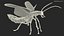 Photinus Pyralis Standing Pose