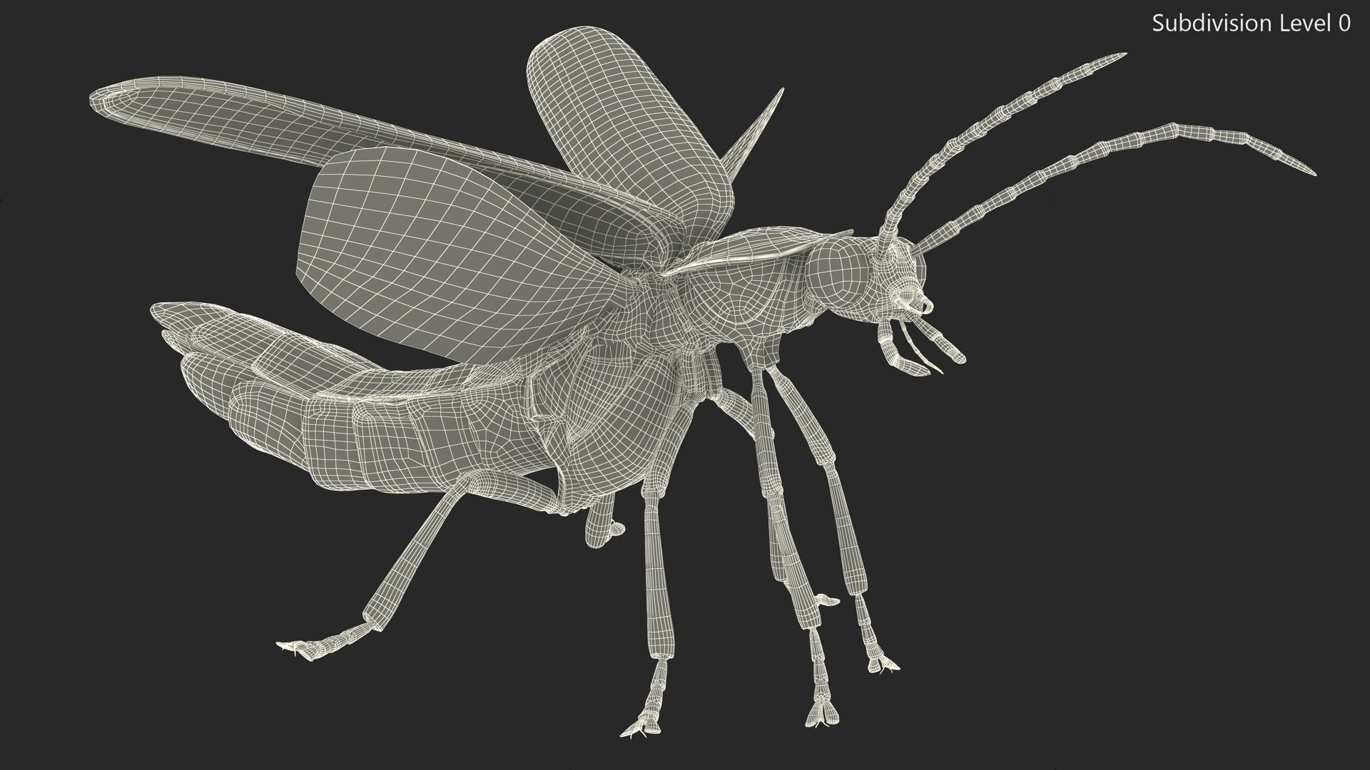3D Photinus Pyralis Standing Pose https://p.turbosquid.com/ts-thumb/UH/Z8RVit/oB/photinuspyralisstandingpose3dsmodel019/jpg/1703833927/1920x1080/fit_q87/b043360cdb16ab5308a9d836b1062af8557b0ee7/photinuspyralisstandingpose3dsmodel019.jpg