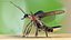 Photinus Pyralis Standing Pose