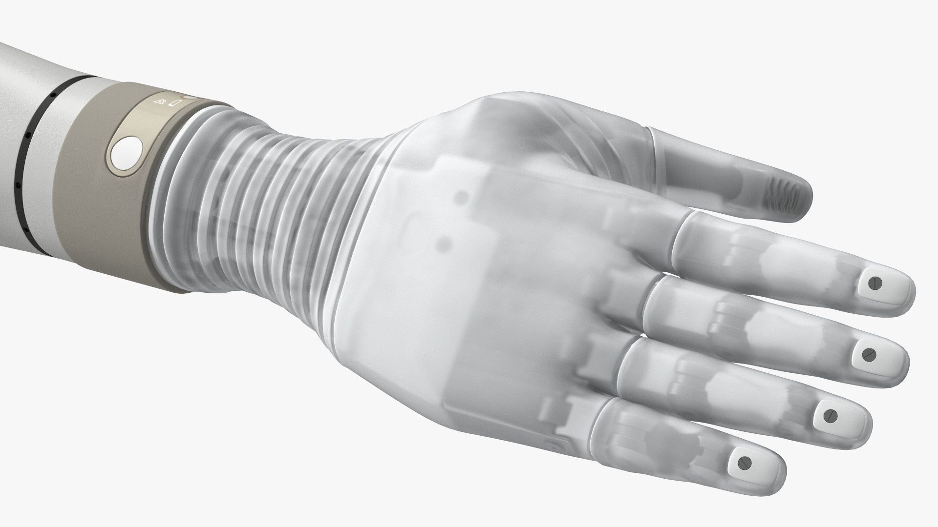 Rigged Mechanical Hands Collection model https://p.turbosquid.com/ts-thumb/UH/bIOyoc/4B/riggedmechanicalhandscollectionmb3dmodel060/jpg/1693420196/1920x1080/fit_q87/c53da21bcc7fe88d85f212d57314814f3e8811f0/riggedmechanicalhandscollectionmb3dmodel060.jpg