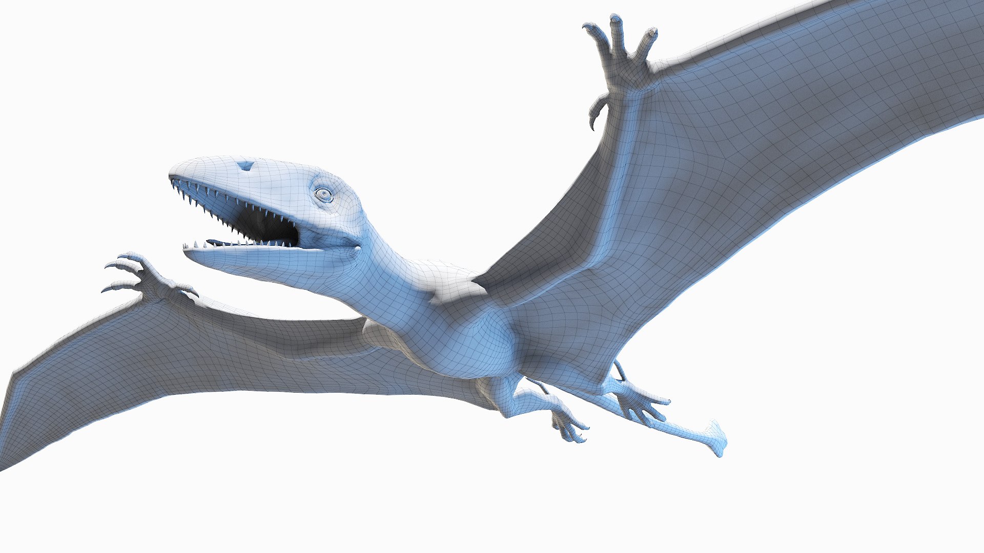 Peteinosaurus Static model https://p.turbosquid.com/ts-thumb/UH/bPLYJt/8E/peteinosaurus_wire0003/jpg/1653212068/1920x1080/fit_q87/283995105d2c68e0e29549d5d765052d0dbea37d/peteinosaurus_wire0003.jpg