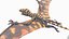 Peteinosaurus statico