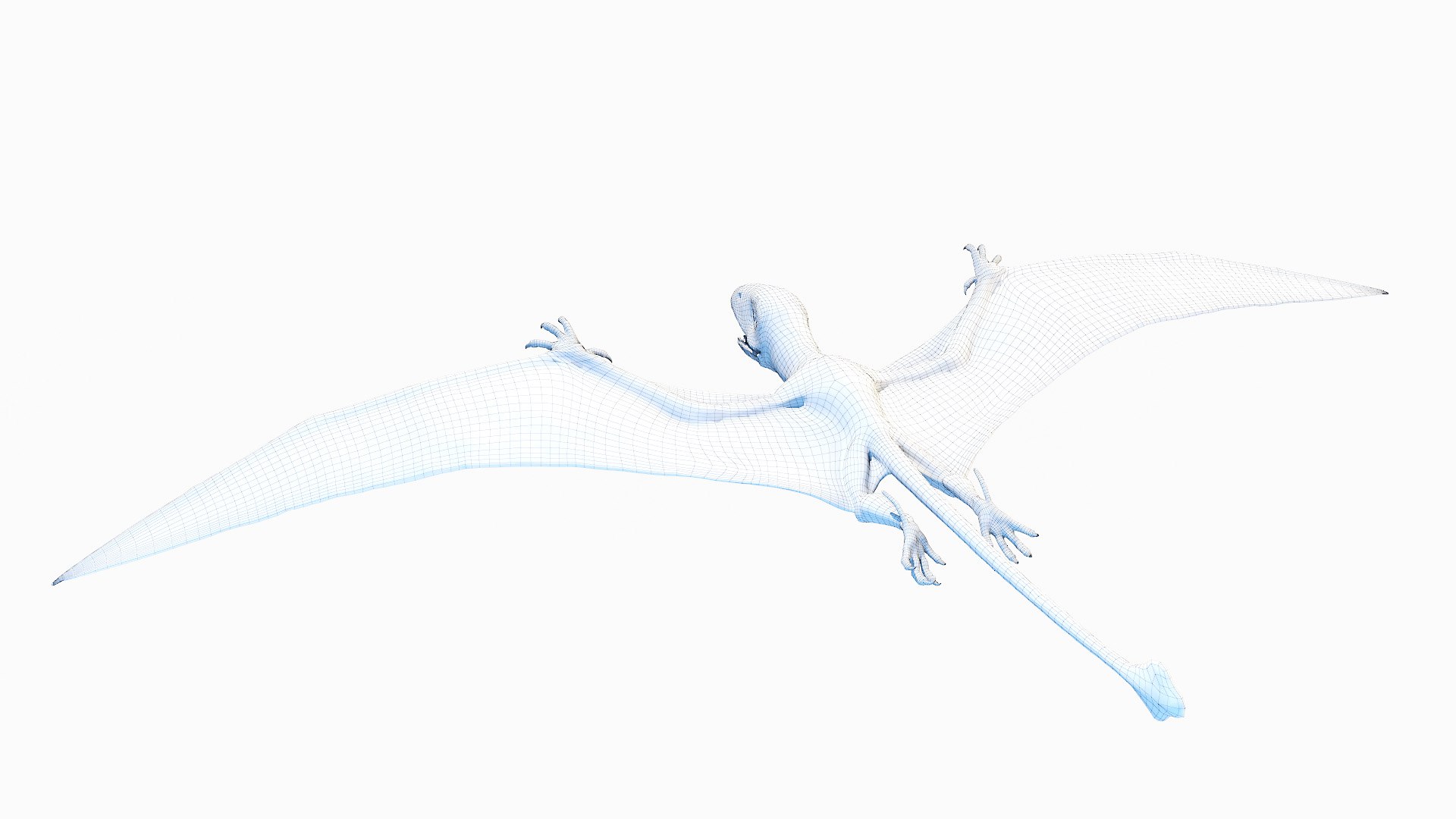 Peteinosaurus Static model https://p.turbosquid.com/ts-thumb/UH/bPLYJt/wc/peteinosaurus_wire0002/jpg/1653212068/1920x1080/fit_q87/a8df35816756ead58b81373f9660d5385844c5f6/peteinosaurus_wire0002.jpg