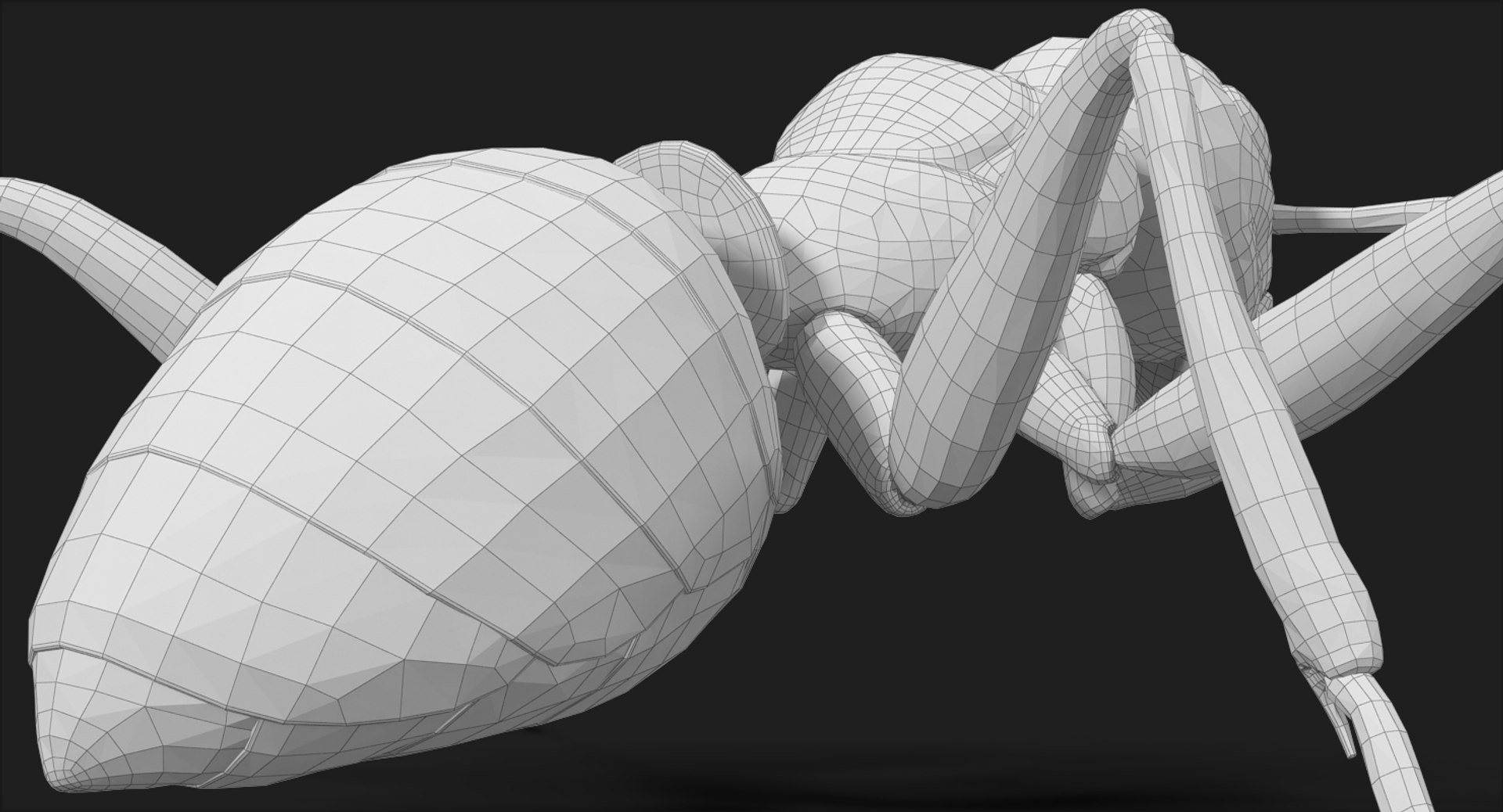 ant pose 1 3d model https://p.turbosquid.com/ts-thumb/UH/hUjIph/bRsdMzYg/subdivision_level_008/jpg/1487486070/1920x1080/fit_q87/5225151e9b8e5f113b158c8e7f40a94c83531da2/subdivision_level_008.jpg