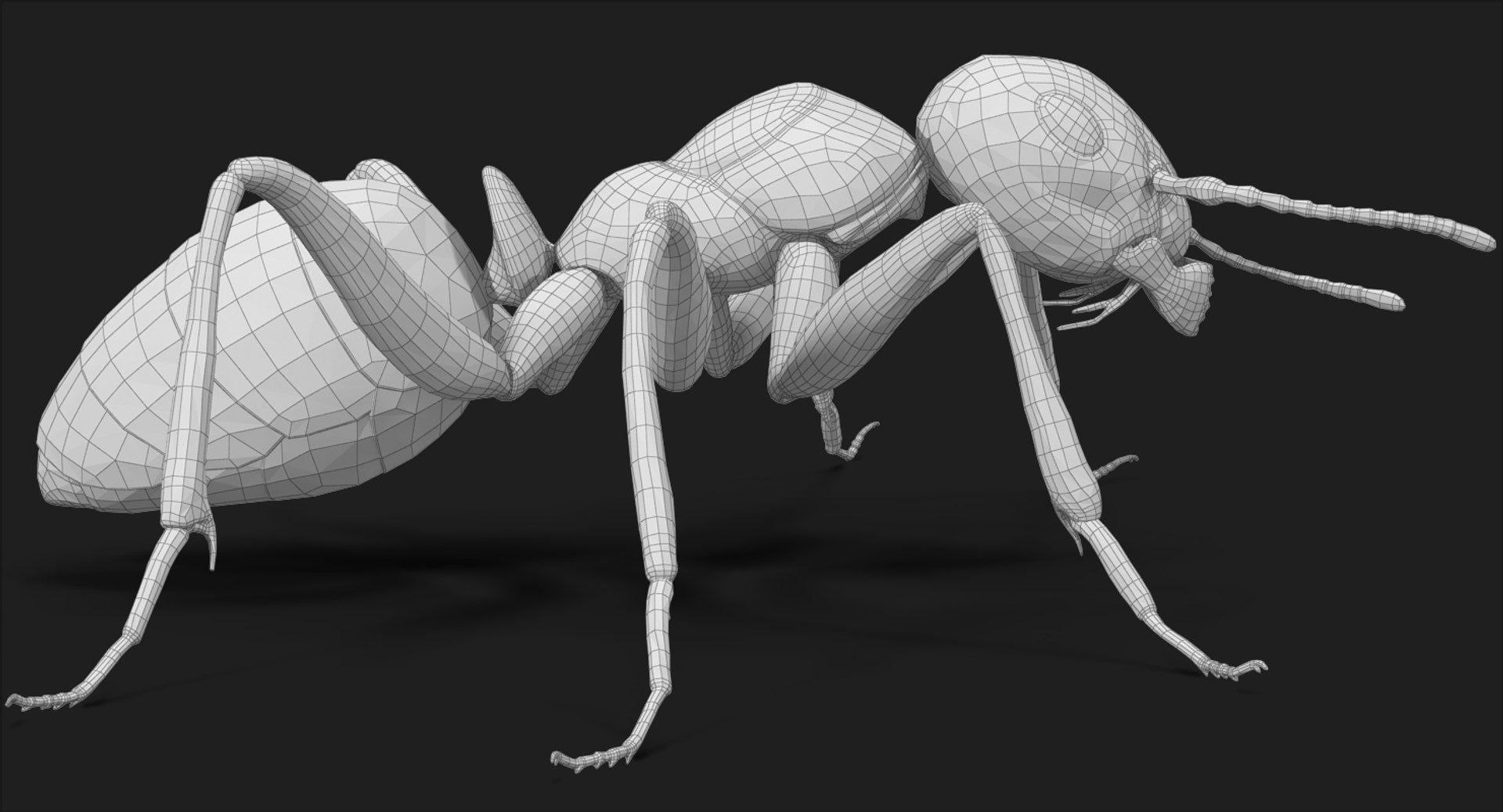ant pose 1 3d model https://p.turbosquid.com/ts-thumb/UH/hUjIph/tGNYSly0/subdivision_level_014/jpg/1487486070/1920x1080/fit_q87/c34f147735fef63bedc0abdaf5dc0e1ea6f679e6/subdivision_level_014.jpg