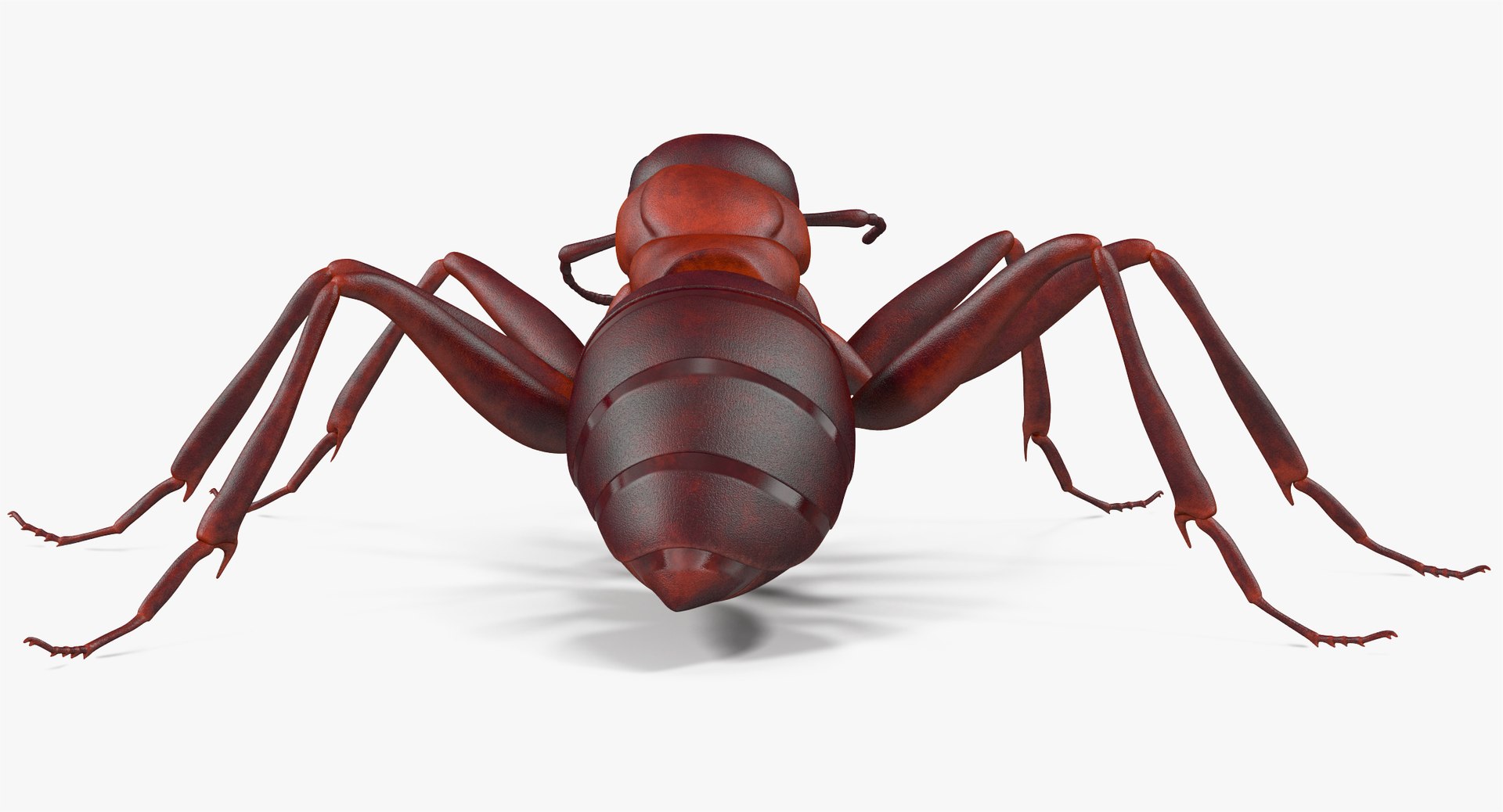 ant pose 1 3d model https://p.turbosquid.com/ts-thumb/UH/hUjIph/xURV9Xqd/angles_015/jpg/1487355028/1920x1080/fit_q87/7d589fdc15c2e260802a51744f360c83c3e9df52/angles_015.jpg