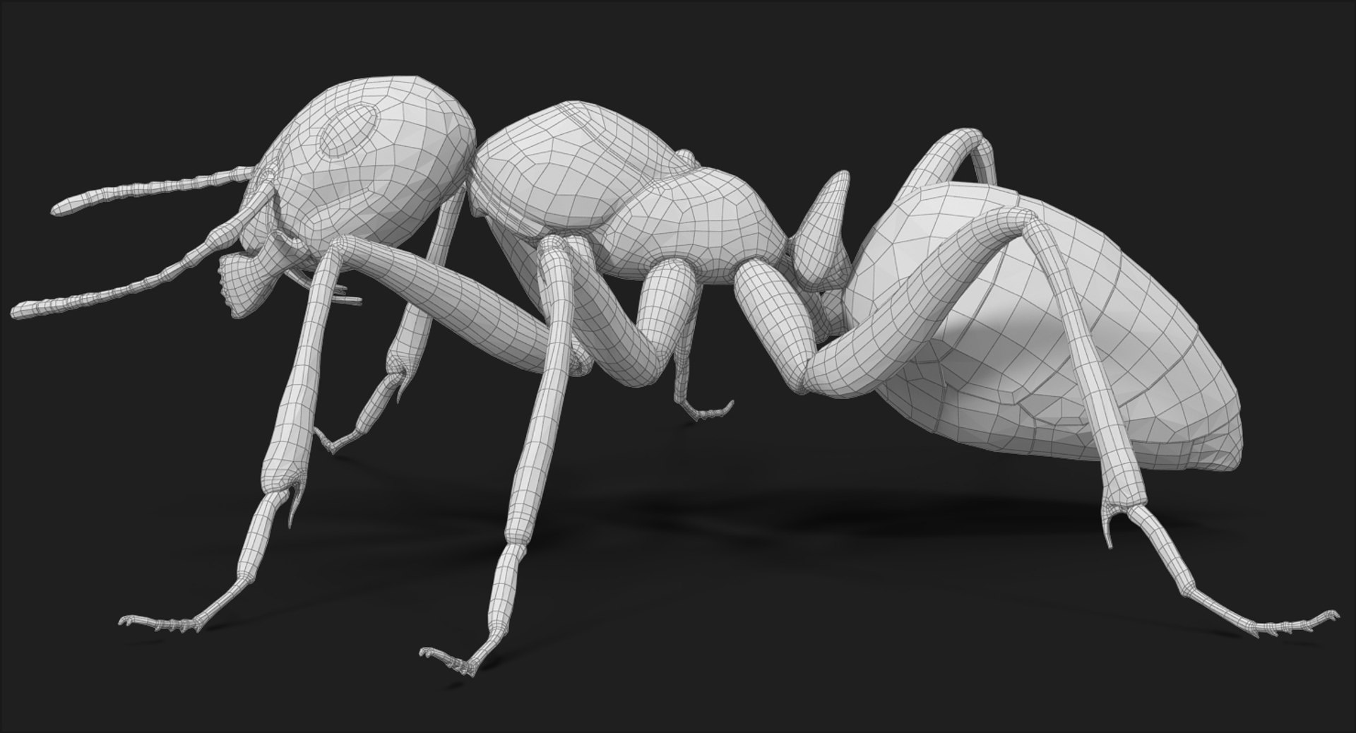 ant pose 1 3d model https://p.turbosquid.com/ts-thumb/UH/hUjIph/yQzEX8cd/subdivision_level_016/jpg/1487486070/1920x1080/fit_q87/14453ca52a2fdbabd3d0610b897c30f59cf4ffb2/subdivision_level_016.jpg