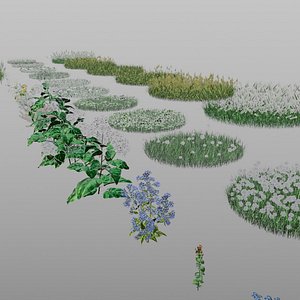 grass and flowers