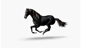 Realistic Black Horse 3D Model 3D model