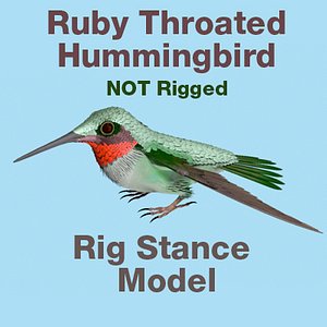 Ruby Throated Hummingbird RigStance
