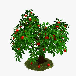 tree peach 3d model