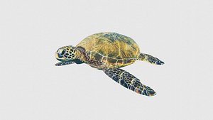 Low Poly Turtle Rigged With Realistic Texture 3D model