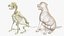 Dog Skeletal Anatomy with Translucent Shell Sitting Pose