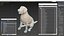 Dog Skeletal Anatomy with Translucent Shell Sitting Pose
