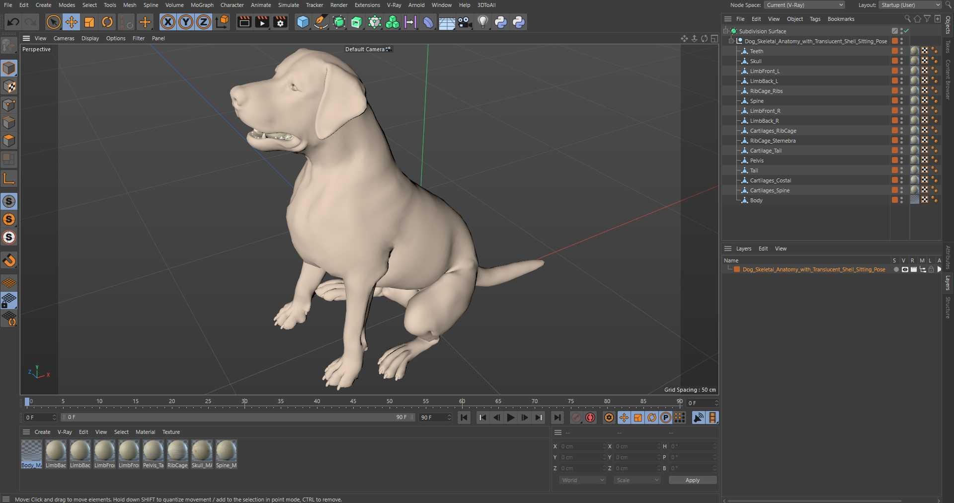 Dog Skeletal Anatomy with Translucent Shell Sitting Pose 3D model https://p.turbosquid.com/ts-thumb/UI/69aeTV/m5/dog_skeletal_anatomy_with_translucent_shell_sitting_pose_1003/jpg/1746037955/1920x1080/fit_q87/7fa7e44f7bd2fb8583af05b1d8b2a53162c5fbfa/dog_skeletal_anatomy_with_translucent_shell_sitting_pose_1003.jpg