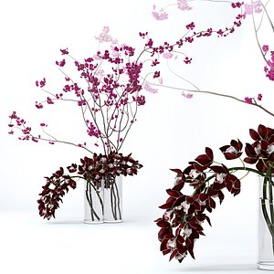 realistic cymbidium cherry branches 3D model