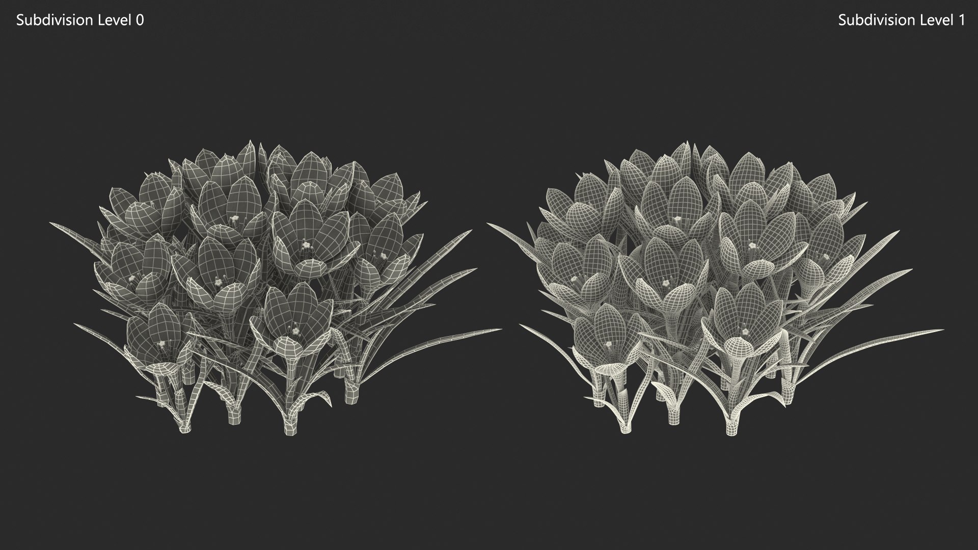 3D Crocus Flowers https://p.turbosquid.com/ts-thumb/UI/H16exy/VK/crocusflowers3dsmodel011/jpg/1678741947/1920x1080/fit_q87/03cc323e65ffb8171557d6760fdf928c206045c4/crocusflowers3dsmodel011.jpg