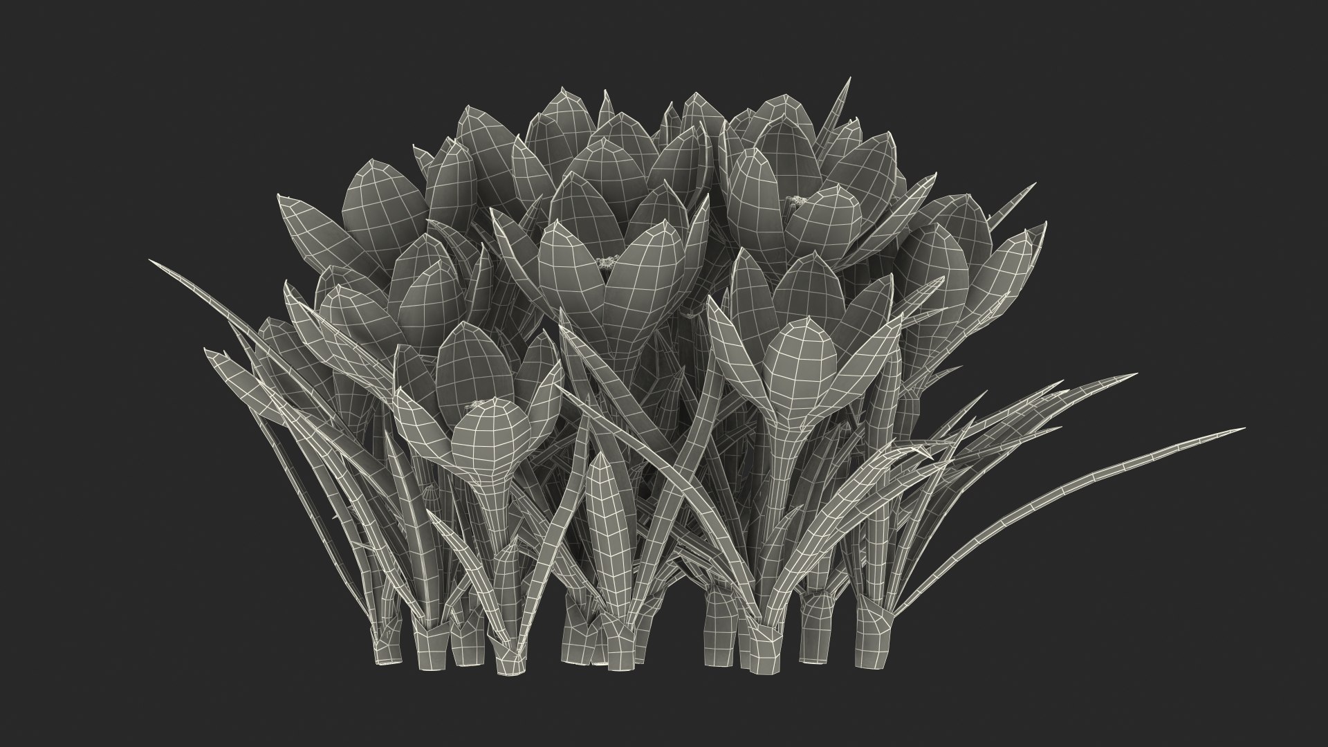 3D Crocus Flowers https://p.turbosquid.com/ts-thumb/UI/H16exy/bl/crocusflowers3dsmodel024/jpg/1678741986/1920x1080/fit_q87/2f73891ab50b7db726723b93c9f76415b2c2db81/crocusflowers3dsmodel024.jpg