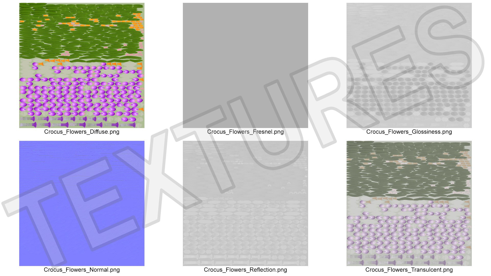3D Crocus Flowers https://p.turbosquid.com/ts-thumb/UI/H16exy/hh/crocusflowers3dsmodel013/jpg/1678741953/1920x1080/fit_q87/19ac6a2c9f94d1c713156cc5c7d764712c487e88/crocusflowers3dsmodel013.jpg
