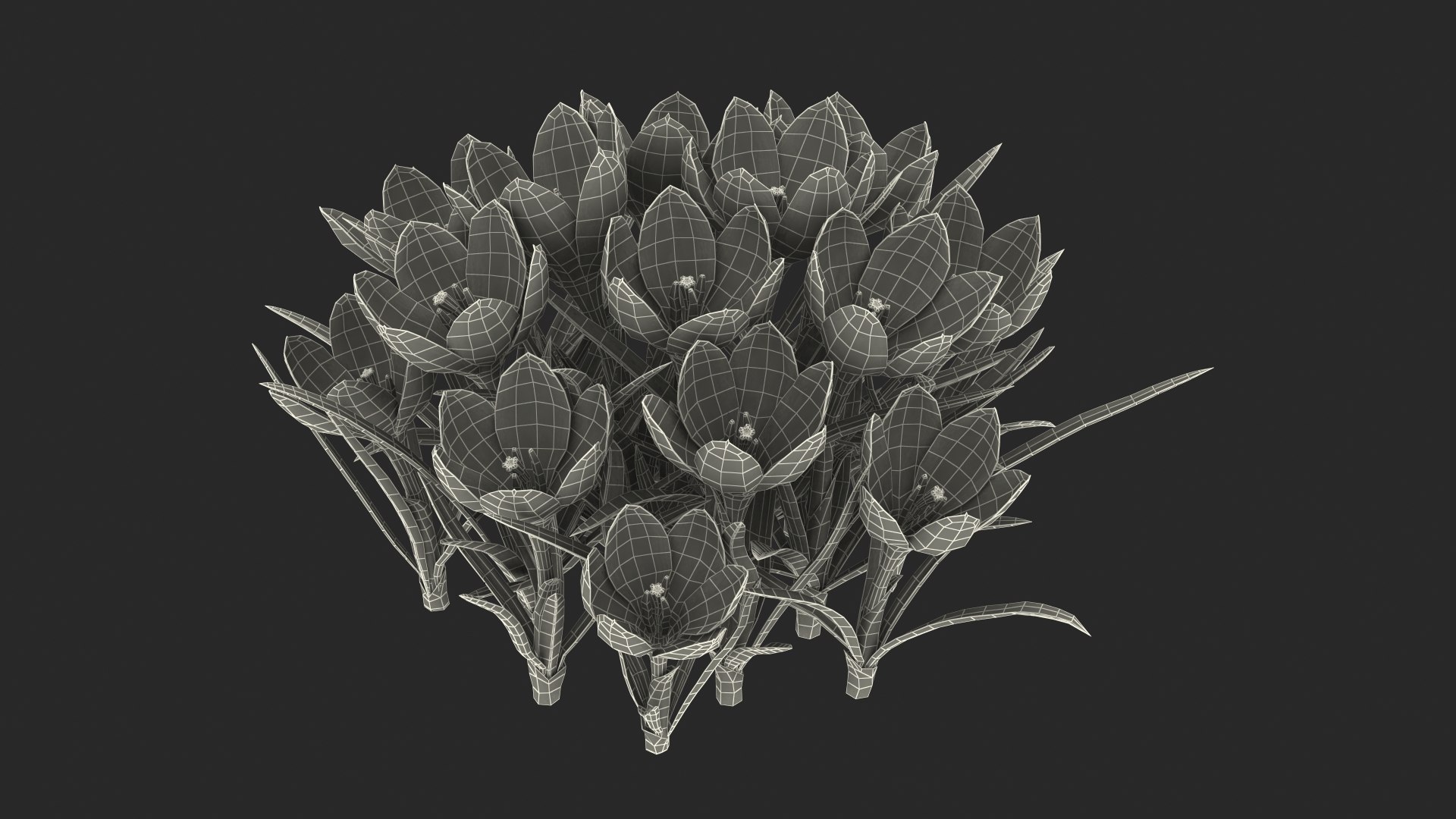 3D Crocus Flowers https://p.turbosquid.com/ts-thumb/UI/H16exy/i9/crocusflowers3dsmodel019/jpg/1678741971/1920x1080/fit_q87/0479bc77ec40516d4a5fb7107571880c91e0874a/crocusflowers3dsmodel019.jpg