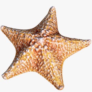 3D Starfish PBR