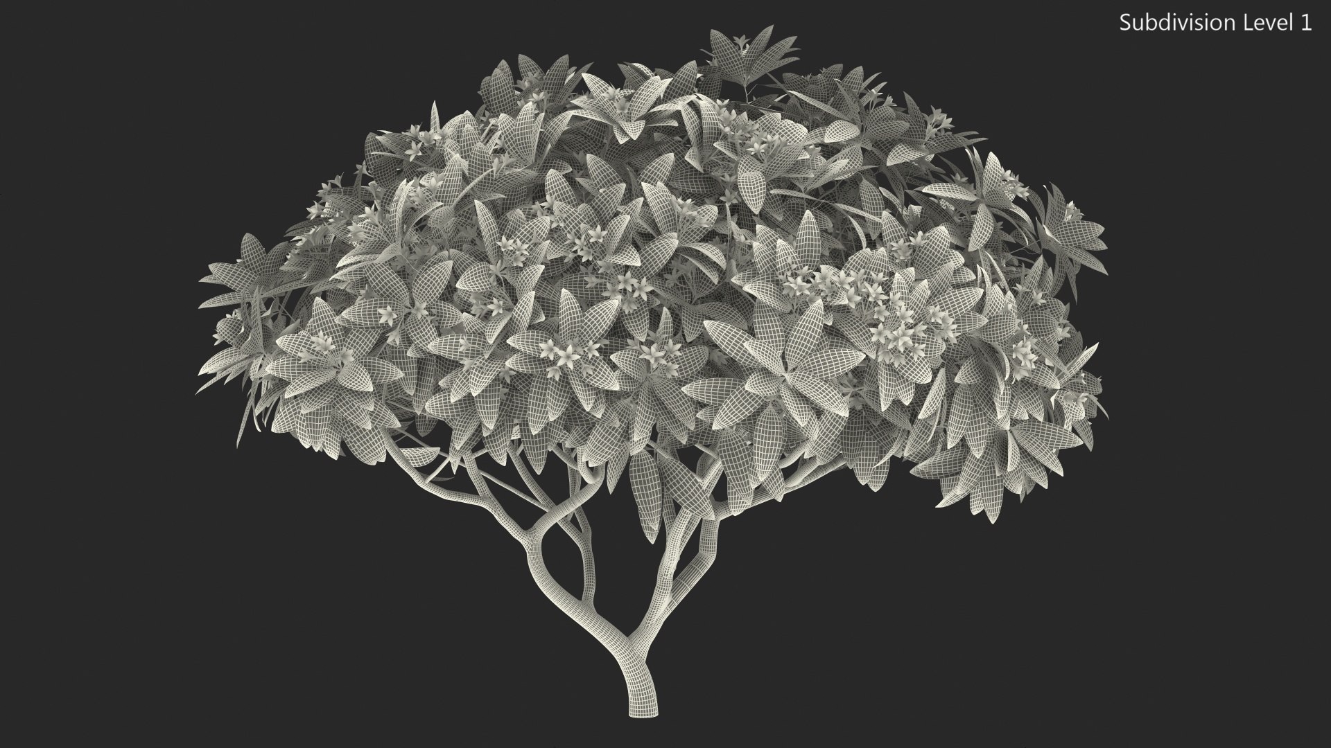 3D model plumeria frangipani tree red flowers https://p.turbosquid.com/ts-thumb/UI/U11mrA/8970GF0L/plumeriafrangipanitreeredflowersvray3dmodel016/jpg/1577621833/1920x1080/fit_q87/bc01b9783755f986d1df0ece5793d0492c5b3873/plumeriafrangipanitreeredflowersvray3dmodel016.jpg