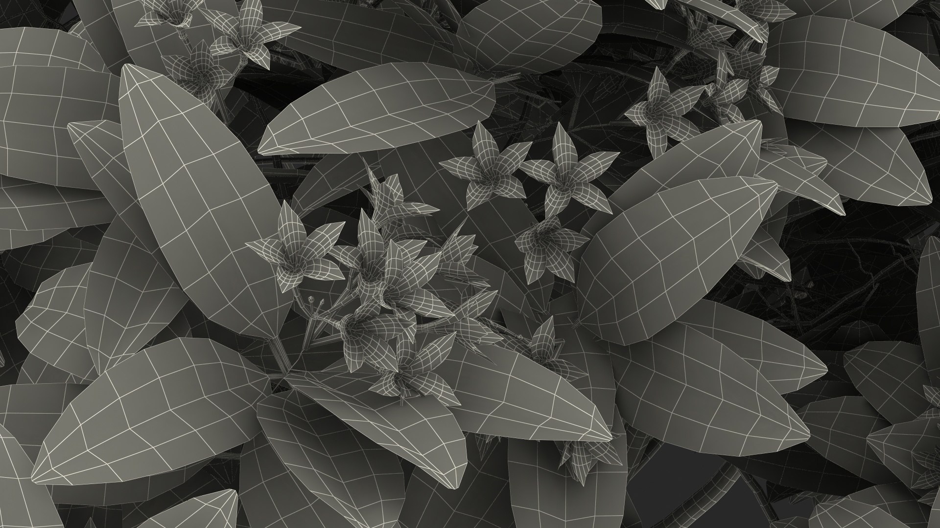 3D model plumeria frangipani tree red flowers https://p.turbosquid.com/ts-thumb/UI/U11mrA/P6SUii4b/plumeriafrangipanitreeredflowersvray3dmodel024/jpg/1577621879/1920x1080/fit_q87/45d1291eb521654ca94f29fecd0a8c746077976a/plumeriafrangipanitreeredflowersvray3dmodel024.jpg