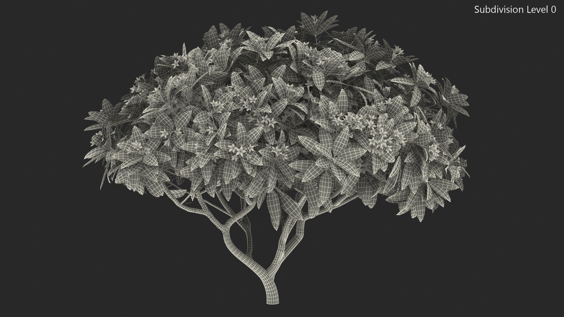 3D model plumeria frangipani tree red flowers https://p.turbosquid.com/ts-thumb/UI/U11mrA/d48vCRud/plumeriafrangipanitreeredflowersvray3dmodel015/jpg/1577621828/1920x1080/fit_q87/aa0f8af403faad98ebc3c2f159a2395b247270f8/plumeriafrangipanitreeredflowersvray3dmodel015.jpg