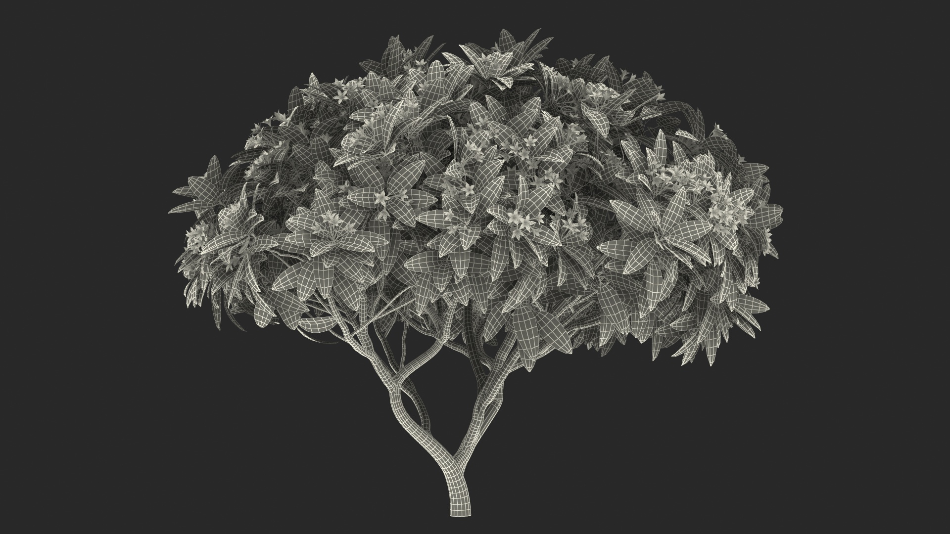 3D model plumeria frangipani tree red flowers https://p.turbosquid.com/ts-thumb/UI/U11mrA/jFpJ7i6L/plumeria_frangipani_tree_red_flowers_361/jpg/1577620932/1920x1080/turn_fit_q99/ed726d69b029fe1d7492ca729f174f0f1ec26aa2/plumeria_frangipani_tree_red_flowers_361-1.jpg