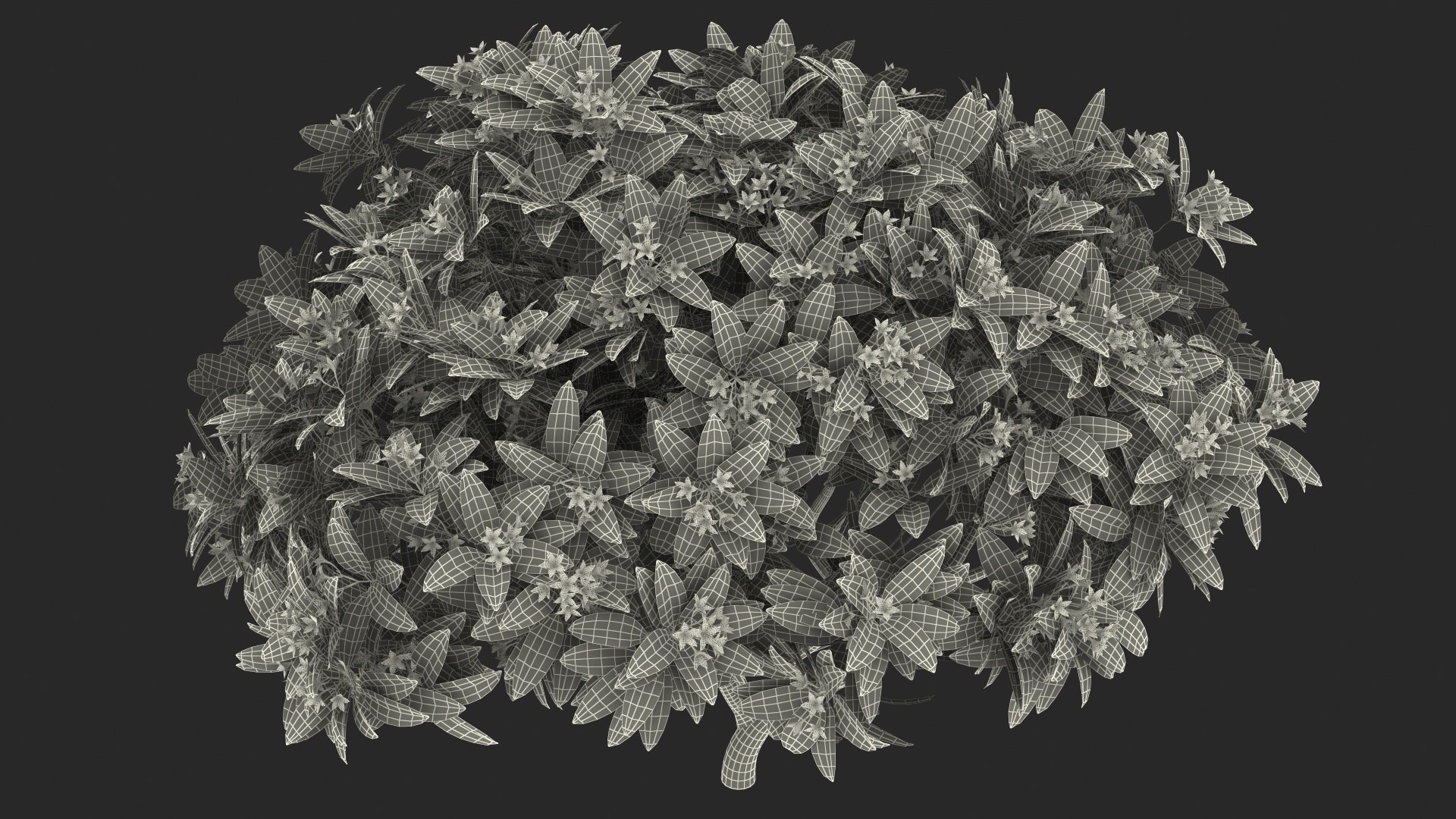 3D model plumeria frangipani tree red flowers https://p.turbosquid.com/ts-thumb/UI/U11mrA/qKEH1VaY/plumeriafrangipanitreeredflowersvray3dmodel022/jpg/1577621866/1920x1080/fit_q87/8933bbbfb7632d13fadcd3e61bcf267cd8427f71/plumeriafrangipanitreeredflowersvray3dmodel022.jpg