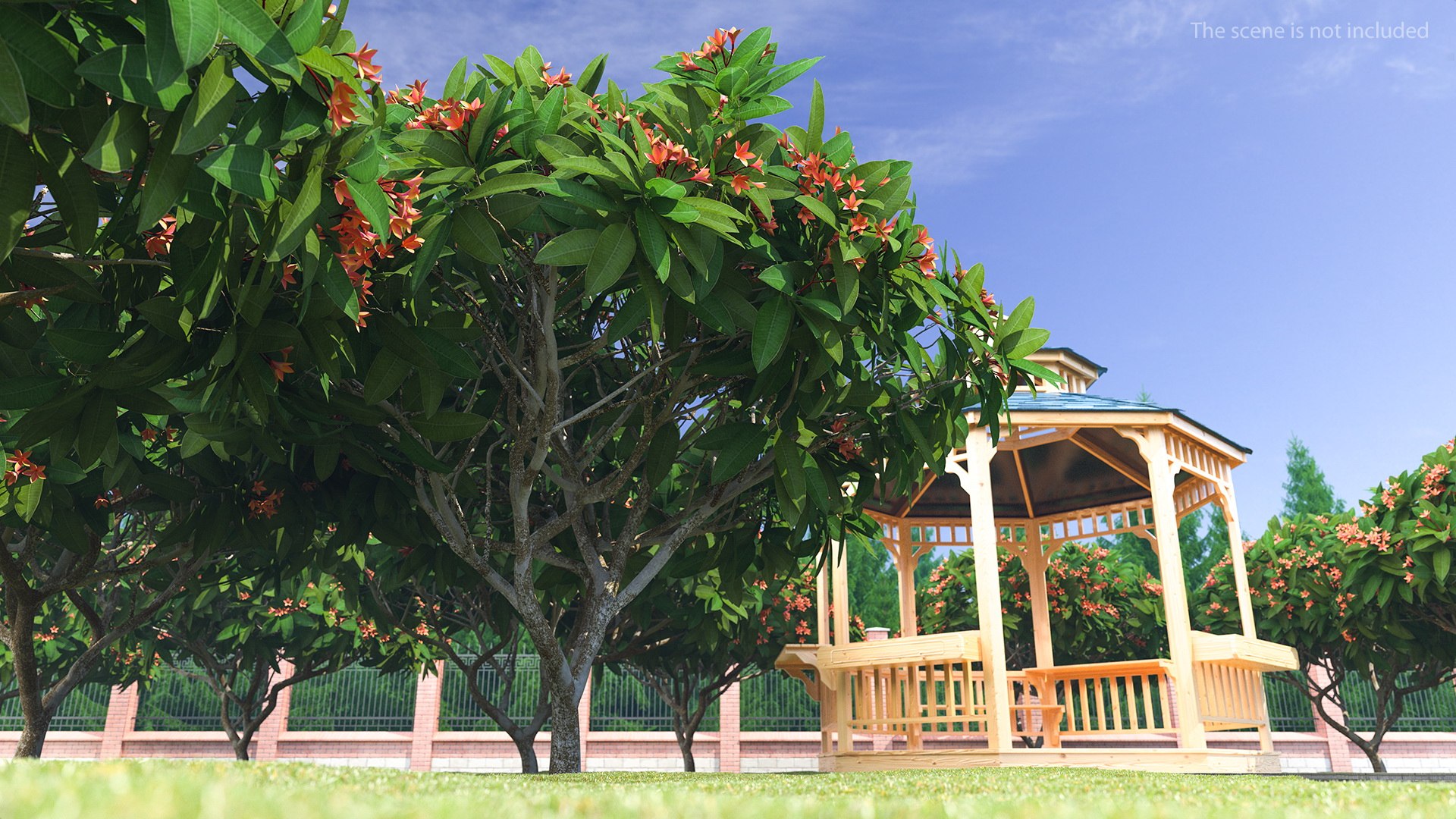 3D model plumeria frangipani tree red flowers https://p.turbosquid.com/ts-thumb/UI/U11mrA/r7DI4RDN/plumeriafrangipanitreeredflowersvray3dmodel002/jpg/1577621762/1920x1080/fit_q87/1cfecdaa9325119d55c8c4d02bd30389d0535e22/plumeriafrangipanitreeredflowersvray3dmodel002.jpg