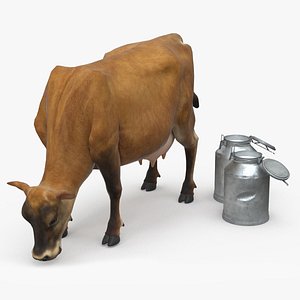 3D Mini Cow and Milk Bucket model