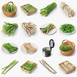 Asparagus Spears Big Collection