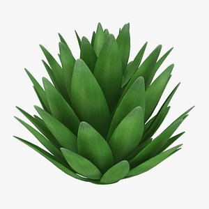 3D agave scanline ready model