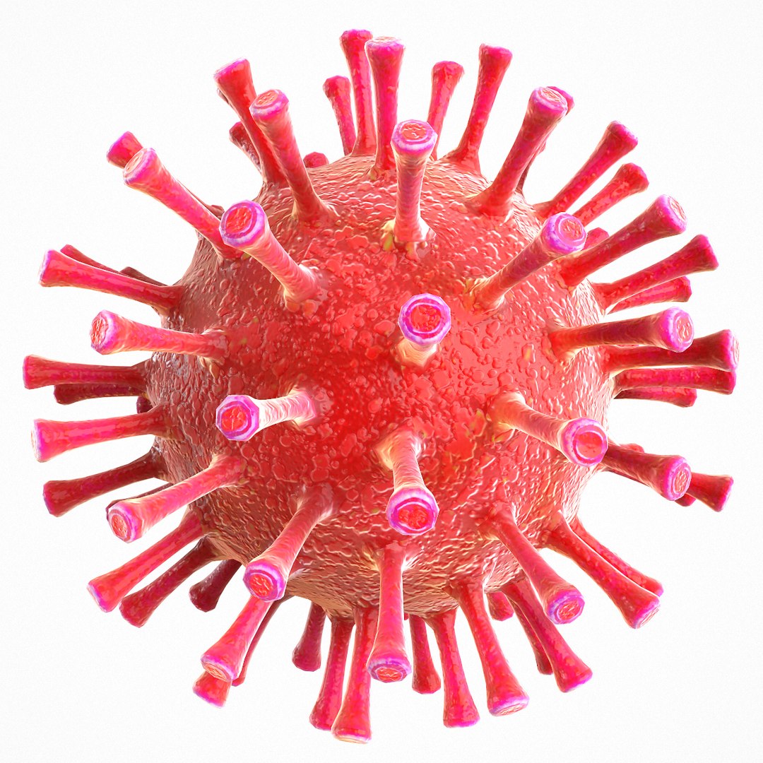 3d Modeled Coronavirus Covid 19 - Turbosquid 1533231