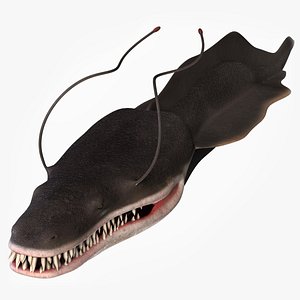 Monster Fish