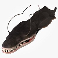 Monster Fish