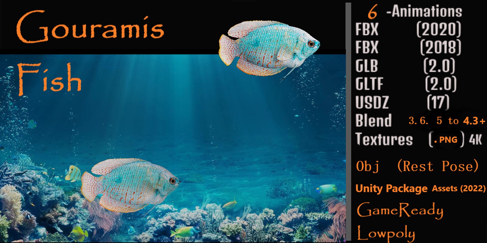 Gourami Freshwater Fish 3D model https://p.turbosquid.com/ts-thumb/UJ/9td8Bq/AY/gouramis_fish/png/1736066277/1920x1080/fit_q87/c23de62954501e68eedcae1ca863a816e11e890f/gouramis_fish.jpg