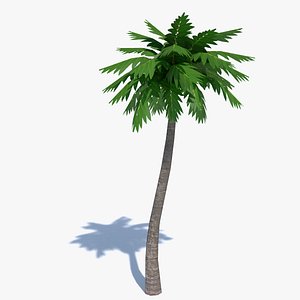 Cartoon Palm Tree 2