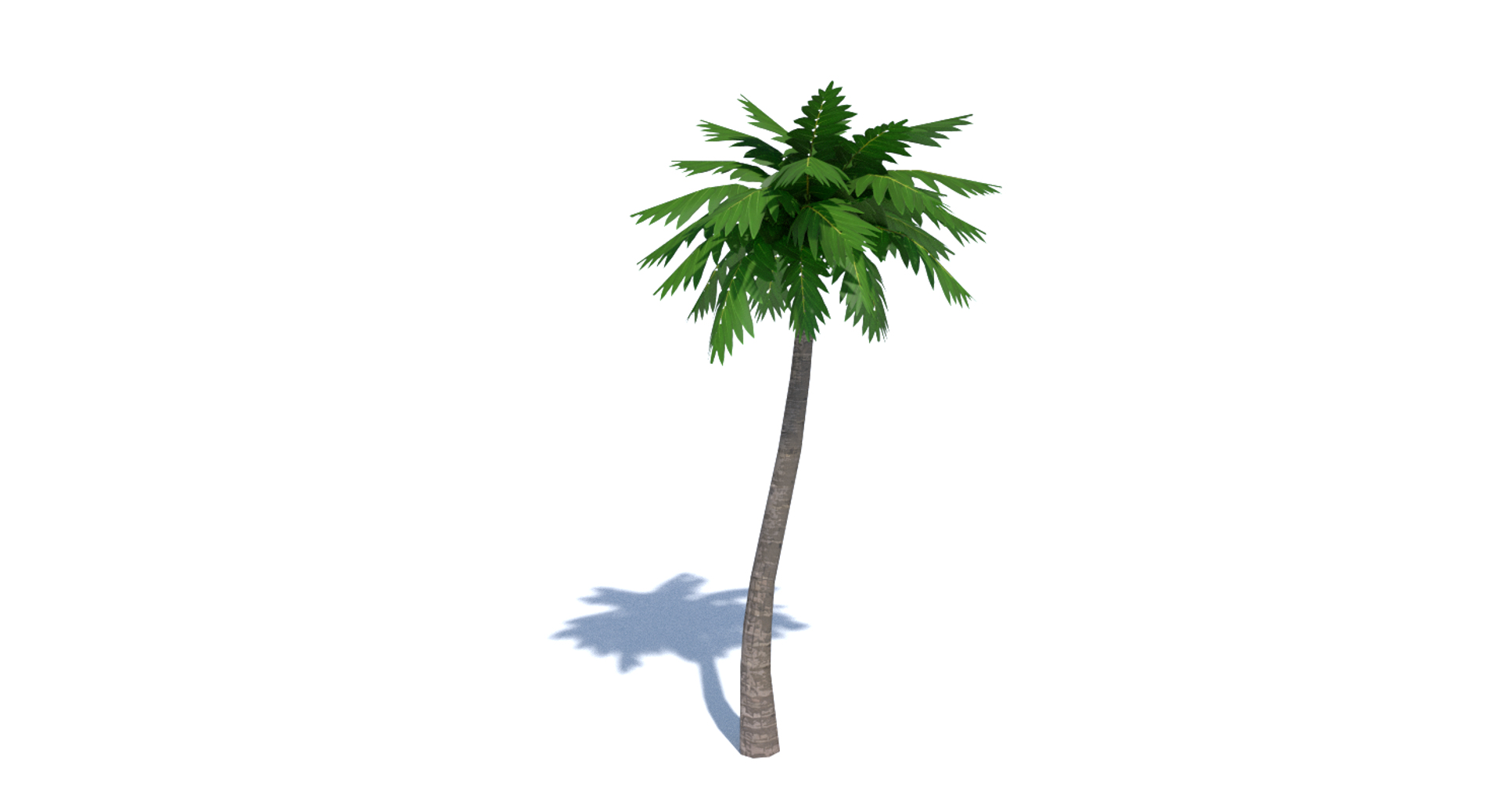 Cartoon Palm Tree 3d Model