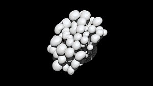3D bunashimeji  mushroom 3D CT scan model decimate 10 percent